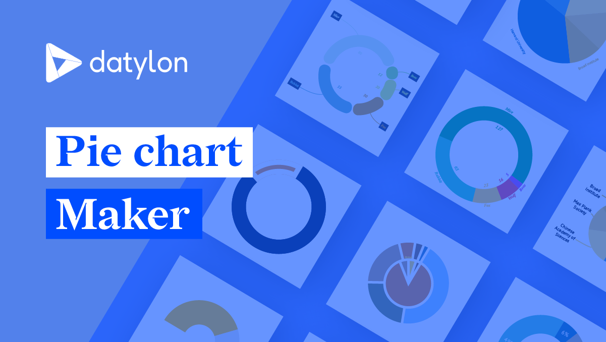 Free Pie Chart Maker - Create Your Own Pie Graphs Online  Datylon